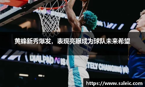 黄蜂新秀爆发，表现亮眼成为球队未来希望